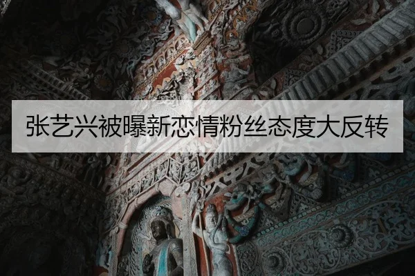 张艺兴被曝新恋情粉丝态度大反转